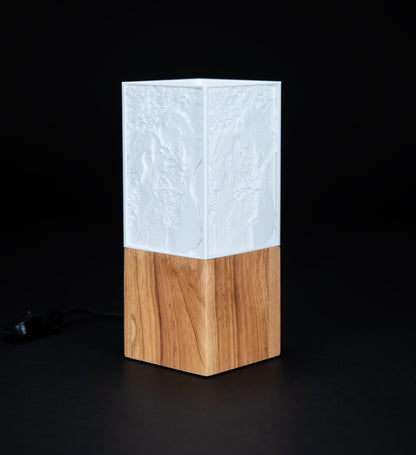 ArtLight Fotolampe